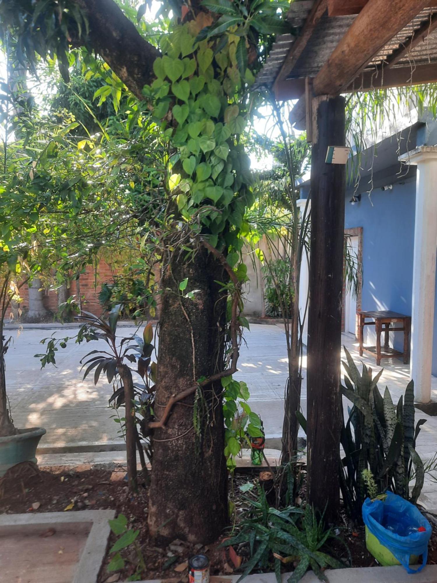 La Posada De Dante Puerto Iguazú Exteriör bild